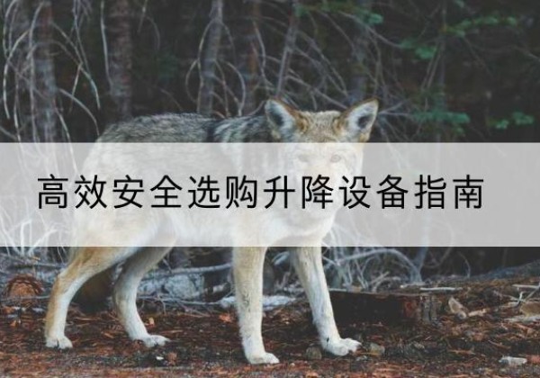 抚顺升降货梯厂家推荐-*安全选购升降设备指南