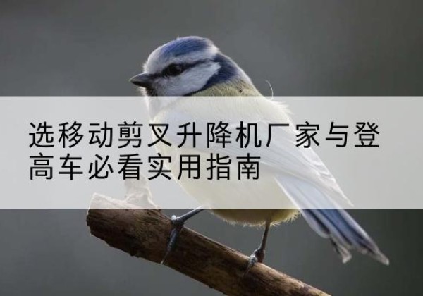 抚顺电动升降机厂家-选移动剪叉升降机厂家与登高车必看实用指南